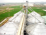Malaysian Food Processing Projects