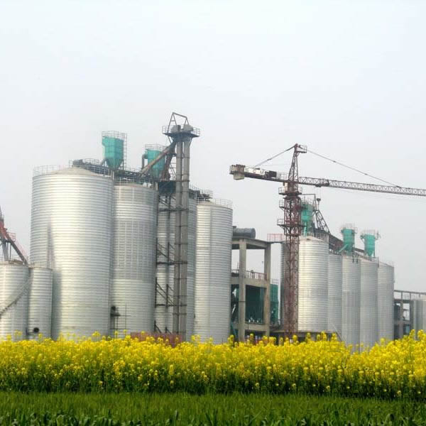 China Steel Warehouse