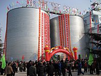 Lipp Silo Project