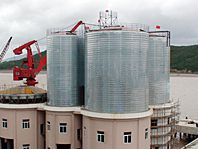 Lipp Silo Project