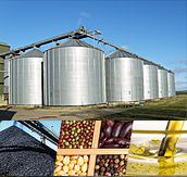 Storage Type