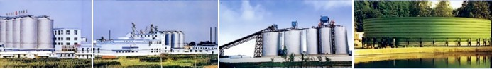 Steel Storage Silos Projects
