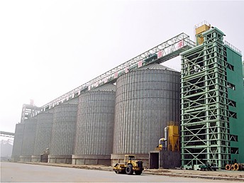 Flat Bottom Silo